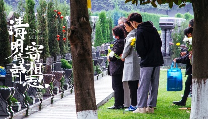 清明祭扫：手捧思念的鲜花，让爱与思念永远延续